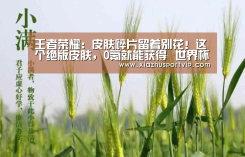世界杯下注官网