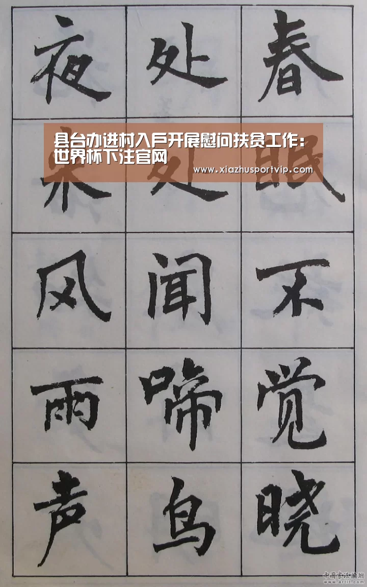 县台办进村入户开展慰问扶贫工作:世界杯下注官网(图4) 世界杯下注平台
